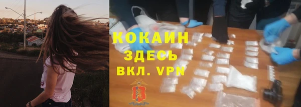 шишки Абинск