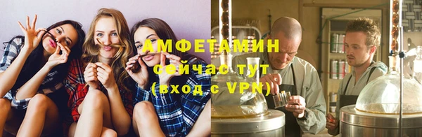 шишки Абинск