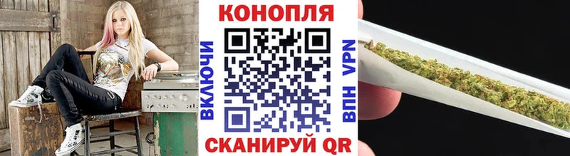 Конопля семена Новая Усмань